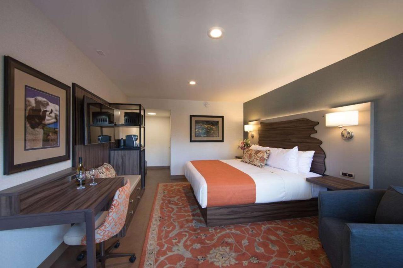 The Vine Inn Davis Dış mekan fotoğraf